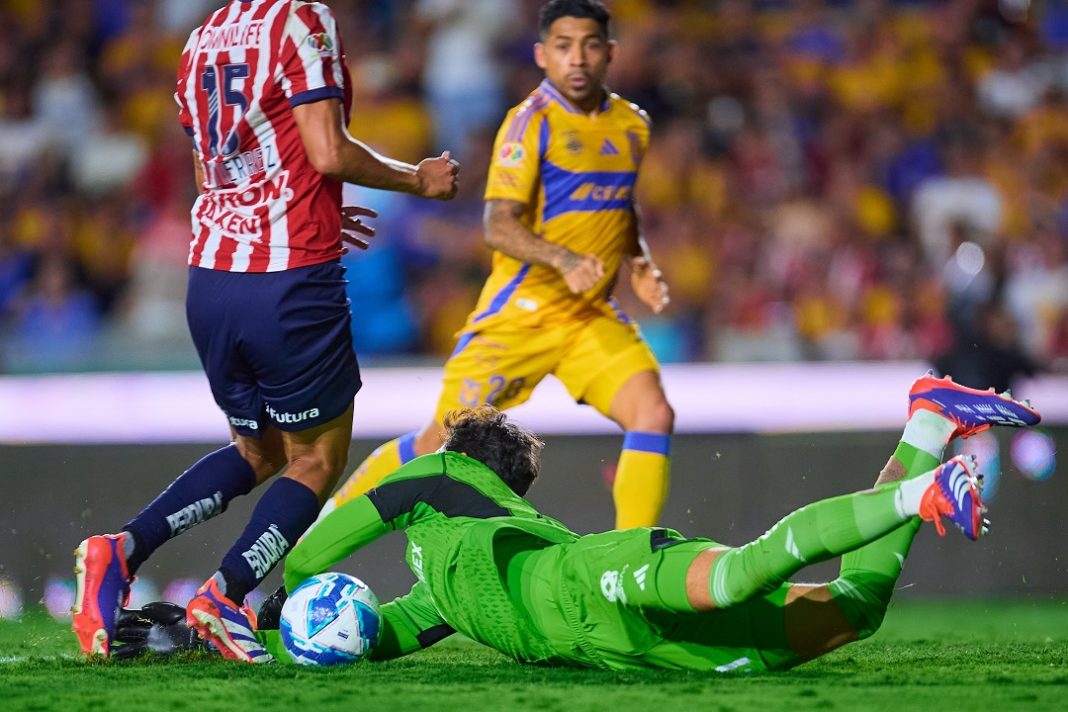 Tigres en un partido